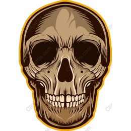 Stylized Skull