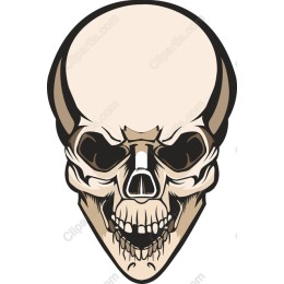  Skull Artwork - Edgy