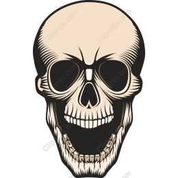 Intricate Skull