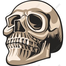 Stylized Skull