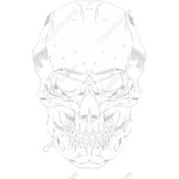 Edgy Skull