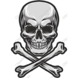 Edgy Skull and Crossbones