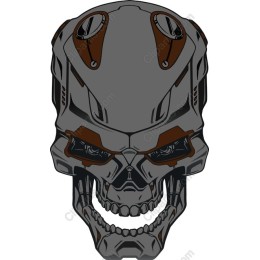 Cyber Skull