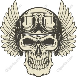 Vintage Aviator Skull with Wings