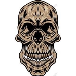 Skull - Intricate