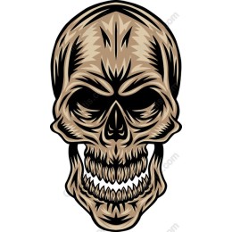 Intricate Skull