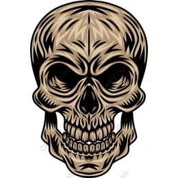 Edgy Skull