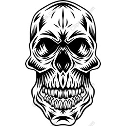 Intricate Skull