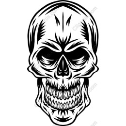 Edgy Skull