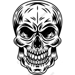 Intricate Skull