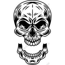 Intricate Skull