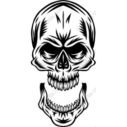 Intricate Skull
