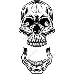 Intricate Skull