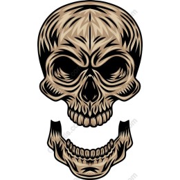 Intricate Skull