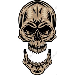 Edgy Vintage Skull
