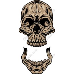 Intricate Skull