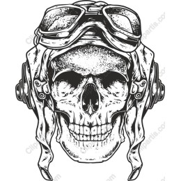 Vintage Aviator Skull