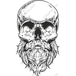 Bearded Skull