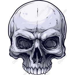 Intricate Skull