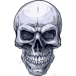 Intricate Skull