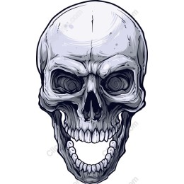Premium Skull
