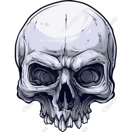 Intricate Skull