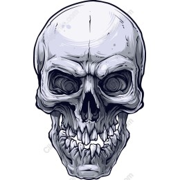Intricately ed Skull