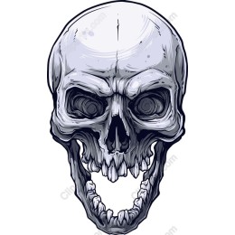 Artistic Skull