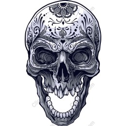 Intricate Day of the Dead Skull