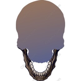 Surreal Skull and Wood