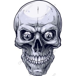 Intricate Skull