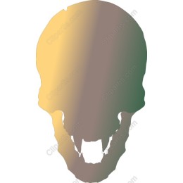 Gradient Skull