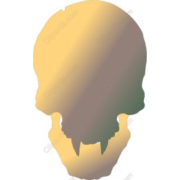 Edgy Skull