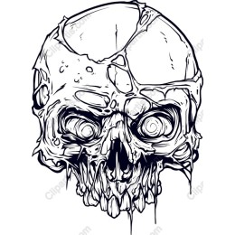 Distressed Skull