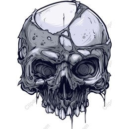 Broken Skull
