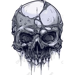 Cracked Skull