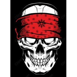 Red Bandana Skull