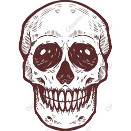 Vintage Skull