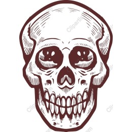 Intricate Skull
