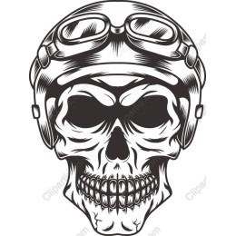 Vintage Aviator Skull