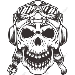 Vintage Aviation Skull