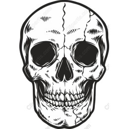 Cracked Skull