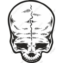 Intricate Skull