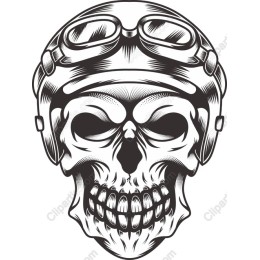 Vintage Aviator Skull
