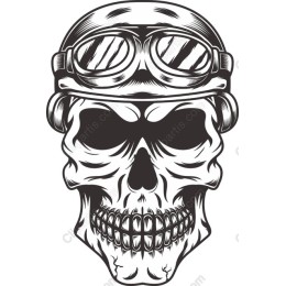 Vintage Aviator Skull