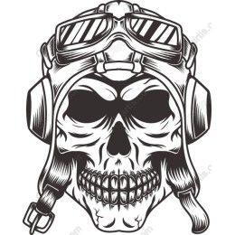 Aviator Skull