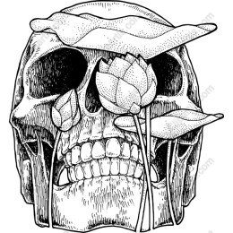 Floral Skull