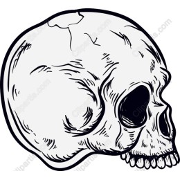 Skull - Intricate