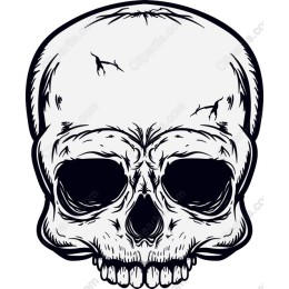 Intricate Skull