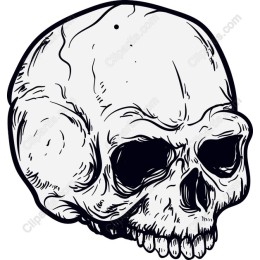 Intricate Skull